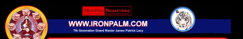 18 Daoist Palm - GM James Lacy